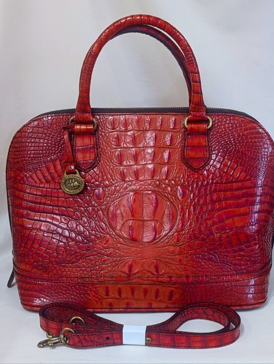 Brahmin Handbags - ❗RARE❗ VEUC Brahmin Vivian